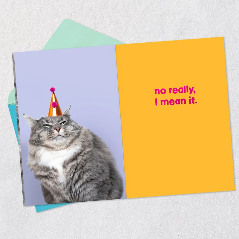 Grumpy Cat Funny Birthday Card for only USD 2.99 | Hallmark