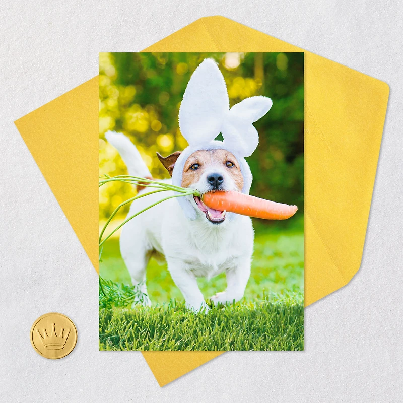 Fetch All the Fun You Can Funny Easter Card for only USD 2.00 | Hallmark