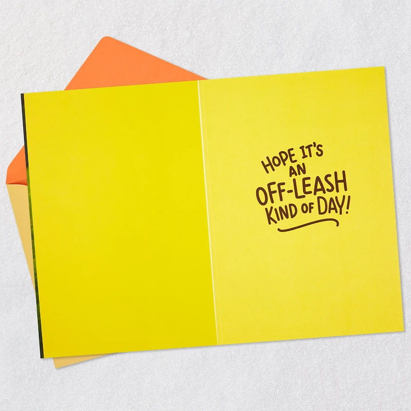 Have an Off-Leash Kind of Day Funny Birthday Card for only USD 2.99 | Hallmark