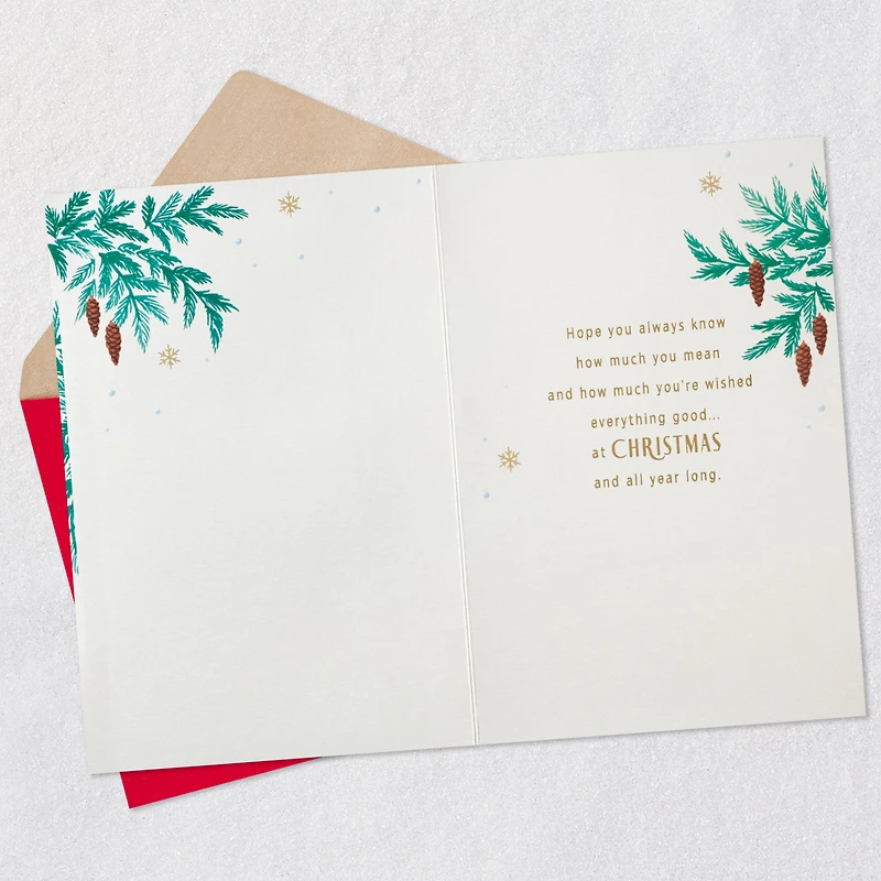 So Grateful for You Christmas Card for Brother-in-Law for only USD 4.59 | Hallmark