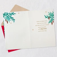 So Grateful for You Christmas Card for Brother-in-Law for only USD 4.59 | Hallmark