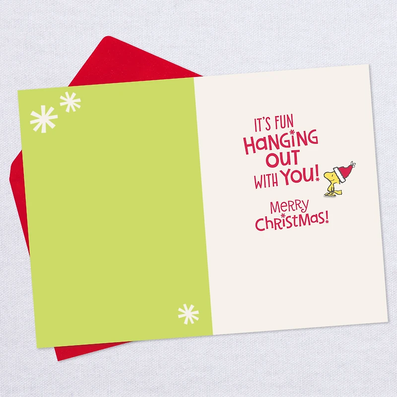 Peanuts® Snoopy and Woodstock in Stockings Funny Christmas Card for only USD 2.00 | Hallmark