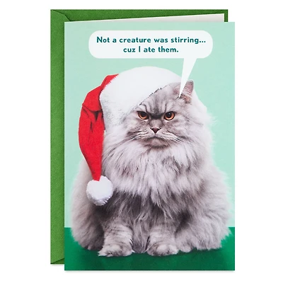 Not a Creature Was Stirring Funny Christmas Card for only USD 3.99 | Hallmark