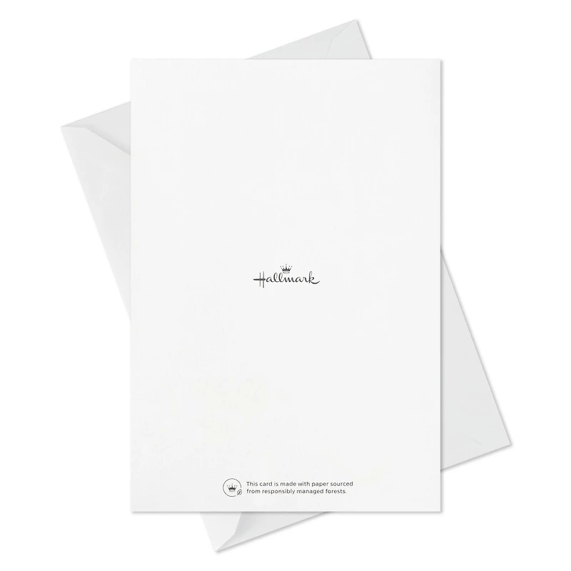 Snowman Essentials Boxed Christmas Cards, Pack of 16 for only USD 9.99 | Hallmark