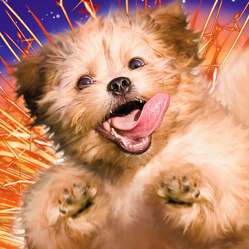 You're an Explosion of Awesome Funny Card for only USD 4.49 | Hallmark
