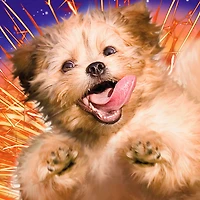 You're an Explosion of Awesome Funny Card for only USD 4.49 | Hallmark