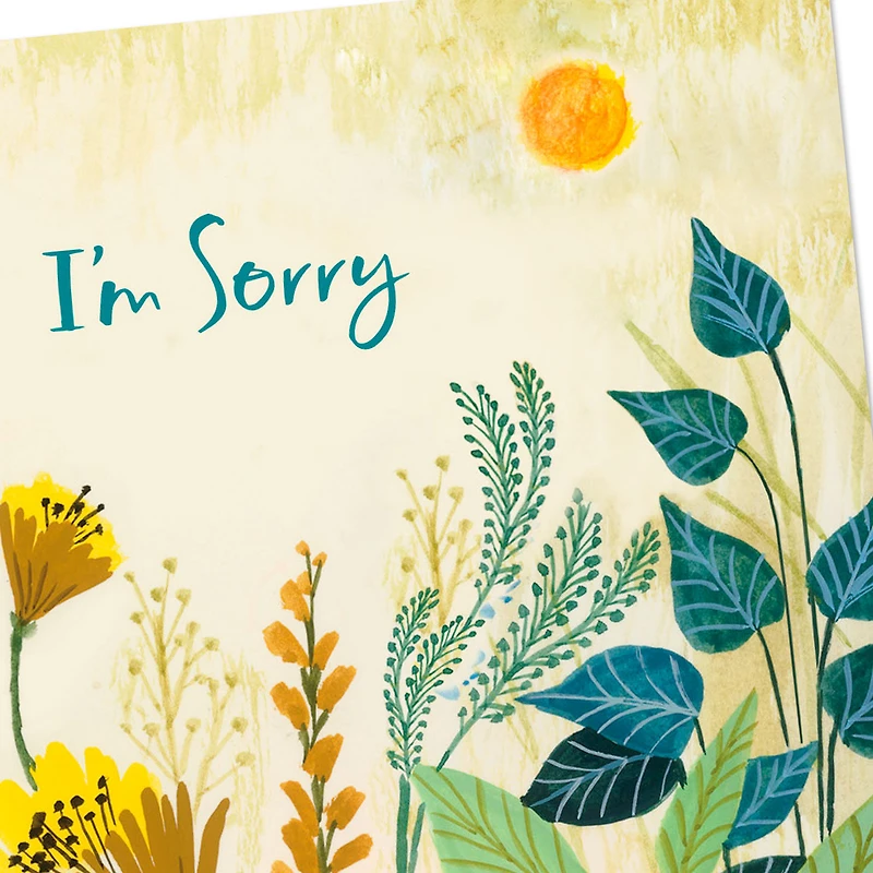 I Hope You Can Forgive Me Apology Card for only USD 4.59 | Hallmark