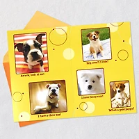 Puppy Pics to Help Forget Getting Older Birthday Card for only USD 4.99 | Hallmark