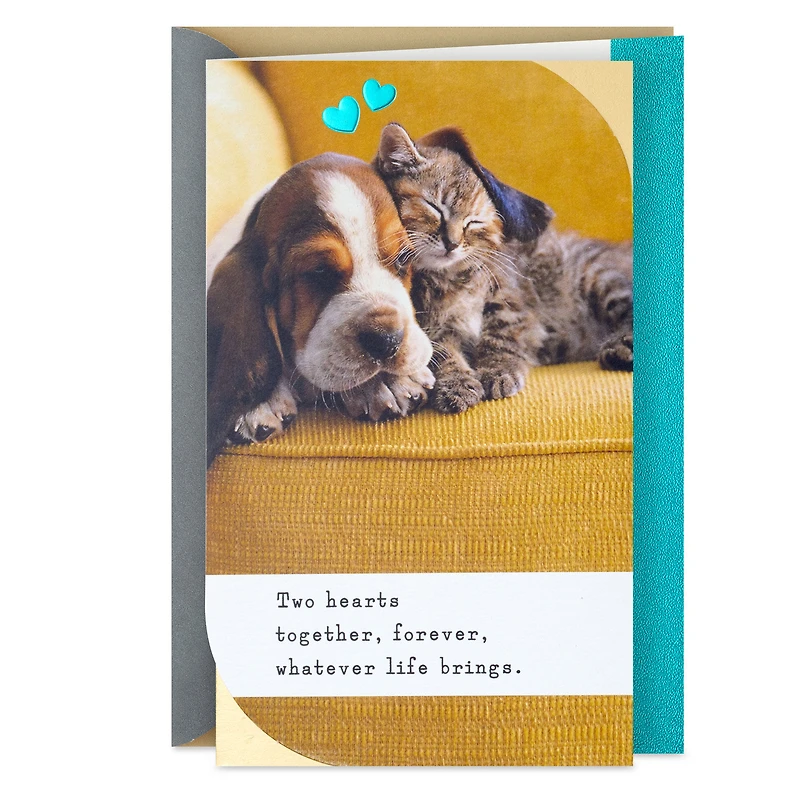 Snoozing Puppy and Kitten Anniversary Card for only USD 4.59 | Hallmark