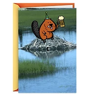 Another Dam Birthday Funny Birthday Card for only USD 3.99 | Hallmark