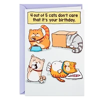 Cats Don't Care Funny Birthday Card for only USD 3.99 | Hallmark