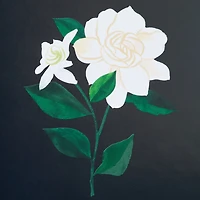 Green and Light Blue Scalloped Square Picture Frame, 4x4 for only USD 18.99 | Hallmark