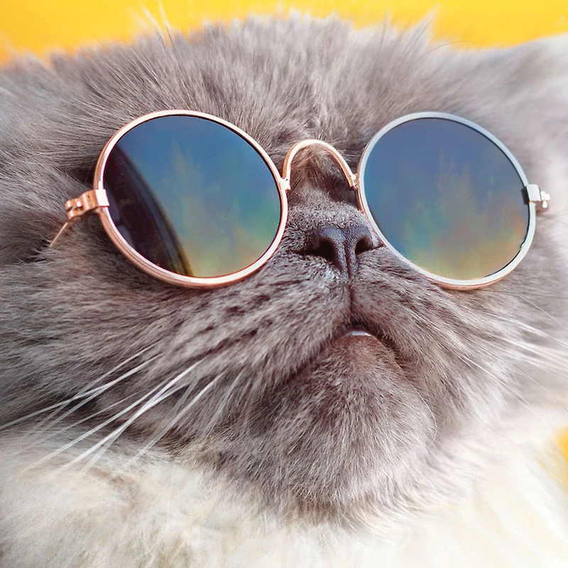 Light the Candles Funny Birthday Card for only USD 3.99 | Hallmark