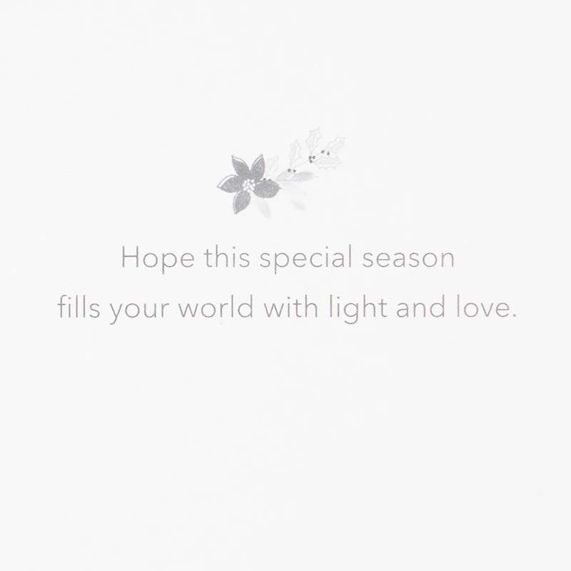 UNICEF Peaceful Earth Ornament Boxed Christmas Cards, Pack of 12 for only USD 20.50 | Hallmark