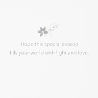 UNICEF Peaceful Earth Ornament Boxed Christmas Cards, Pack of 12 for only USD 20.50 | Hallmark