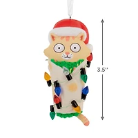 Cat Purrito Hallmark Ornament for only USD 11.49 | Hallmark