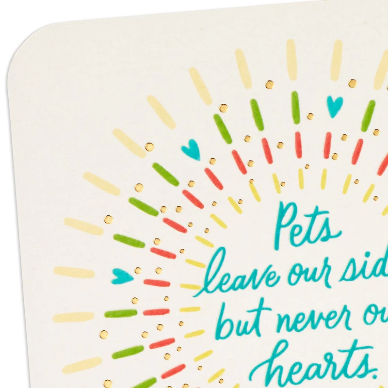Pets Never Leave Our Hearts Sympathy Card for only USD 2.99 | Hallmark