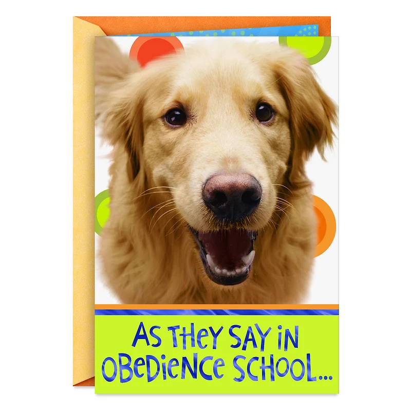 Golden Retriever Heal Get Well Card for only USD 3.99 | Hallmark