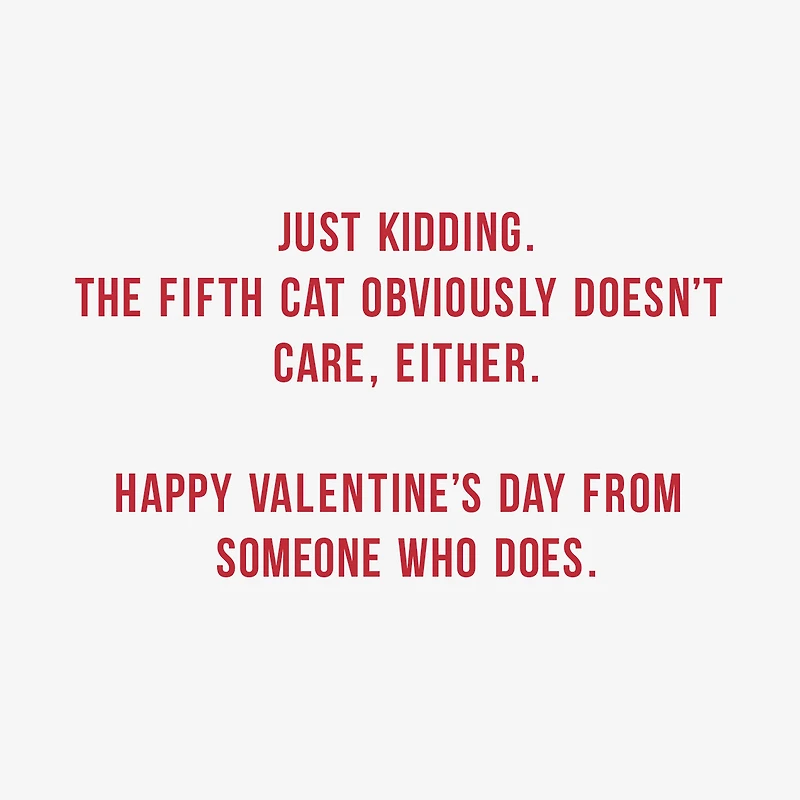 4 Out of 5 Cats Don't Care Funny Valentine's Day Card for only USD 3.99 | Hallmark
