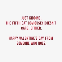 4 Out of 5 Cats Don't Care Funny Valentine's Day Card for only USD 3.99 | Hallmark