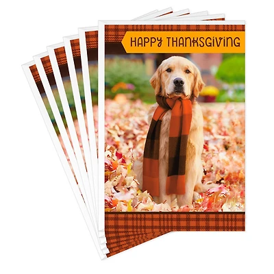 Warm Thoughts of You Thanksgiving Cards, Pack of 6 for only USD 5.99 | Hallmark