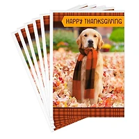 Warm Thoughts of You Thanksgiving Cards, Pack of 6 for only USD 5.99 | Hallmark