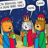 The Three Wise Cats Funny Christmas Card for only USD 3.49 | Hallmark