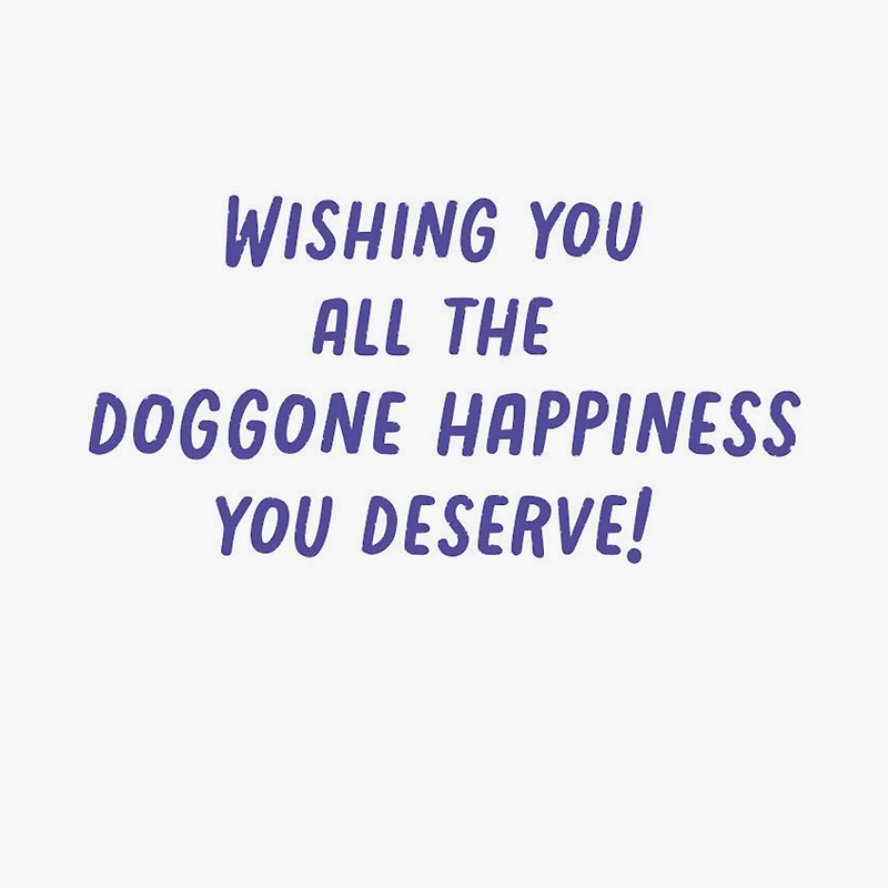 Doggone Happiness Birthday Card for only USD 2.99 | Hallmark