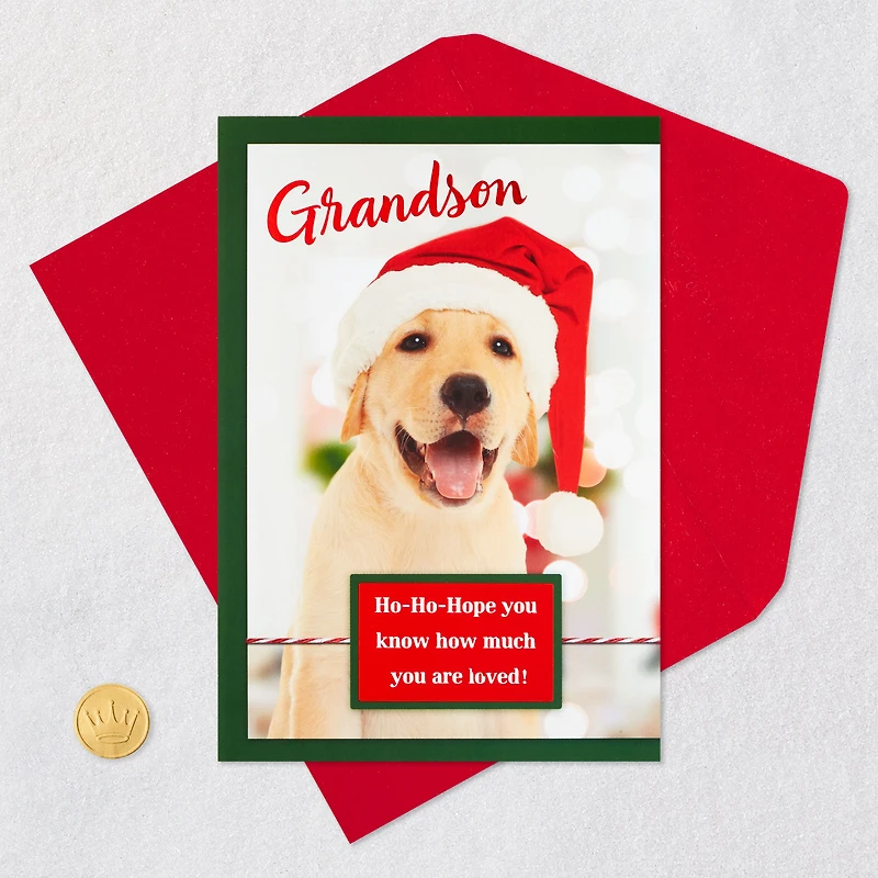 Golden Retriever in Santa Hat Christmas Card for Grandson for only USD 2.00 | Hallmark