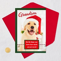 Golden Retriever in Santa Hat Christmas Card for Grandson for only USD 2.00 | Hallmark