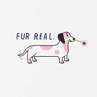 You're the Best Fur Real Mother's Day Card for Pet Mom for only USD 3.99 | Hallmark