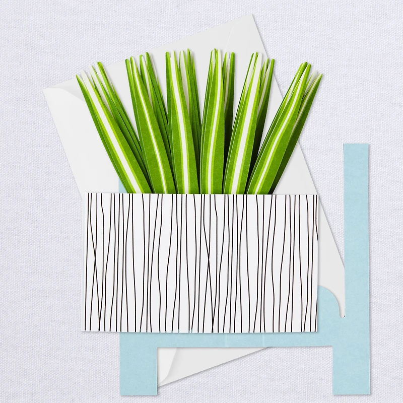 Spider Plant Keep Growing 3D Pop-Up Hello Card for only USD 7.99 | Hallmark