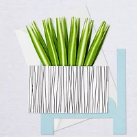 Spider Plant Keep Growing 3D Pop-Up Hello Card for only USD 7.99 | Hallmark