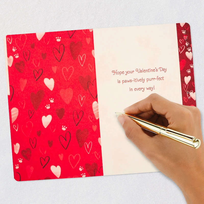 Pawsitively Purrfect Valentine's Day Card From the Cat for only USD 2.99 | Hallmark