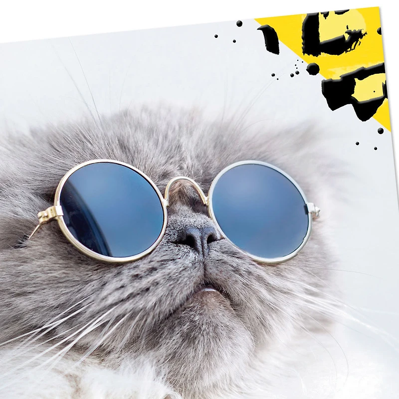 Cool Cat Wearing Sunglasses Blank Card for only USD 2.99 | Hallmark