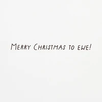 Merry Wishes to Ewe Funny Boxed Christmas Cards, Pack of 16 for only USD 12.49 | Hallmark