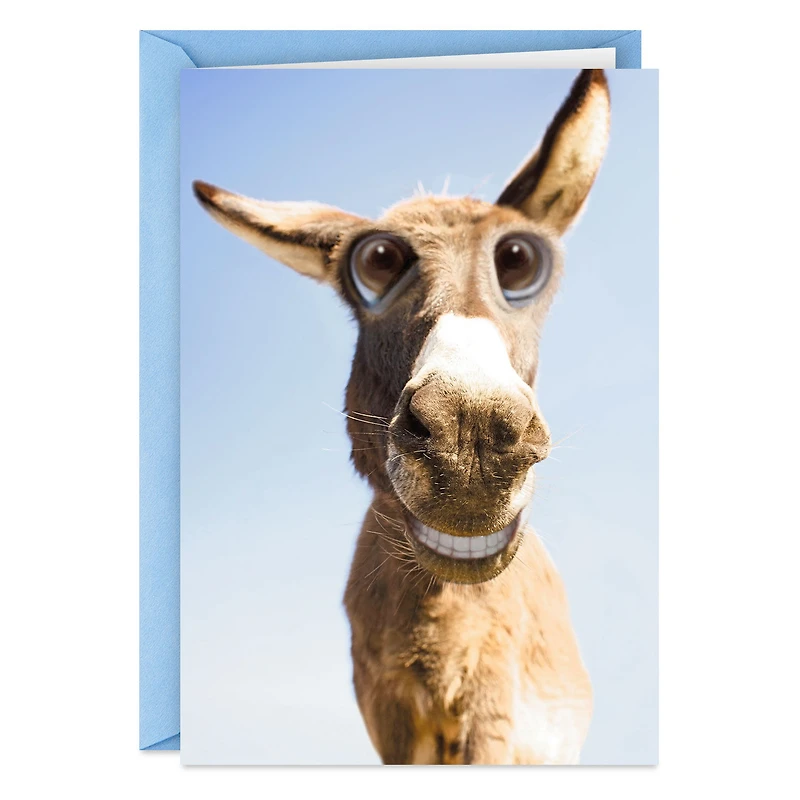 Whatever Makes Your Ass Happy Funny Birthday Card for only USD 3.99 | Hallmark