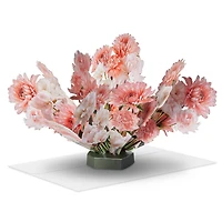 Build-a-Bouquet and White Pop-Up Paper Flowers for only USD 9.99 | Hallmark