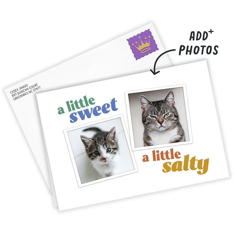 Sweet and Salty Funny Custom Card for only USD 4.99 | Hallmark