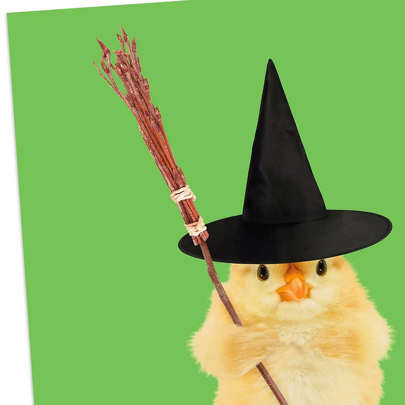 Chick in Witch Hat Funny Halloween Card for only USD 2.00 | Hallmark