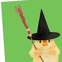 Chick in Witch Hat Funny Halloween Card for only USD 2.00 | Hallmark