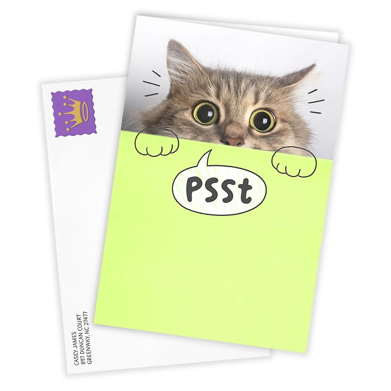 You're Mind Boggling Peeking Cat Custom Card for only USD 4.99 | Hallmark