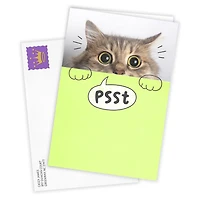 You're Mind Boggling Peeking Cat Custom Card for only USD 4.99 | Hallmark