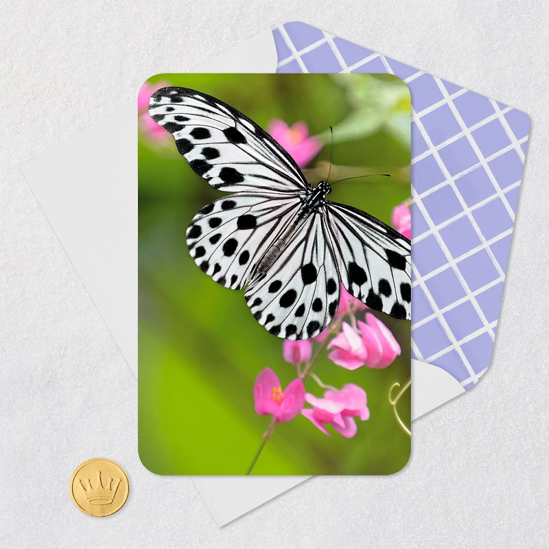 Black-and-White Butterfly and Pink Flowers Blank Card for only USD 2.99 | Hallmark