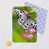 Black-and-White Butterfly and Pink Flowers Blank Card for only USD 2.99 | Hallmark