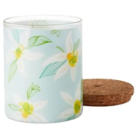 Salted Vanilla and Sandalwood Scented 2-Wick Jar Candle, 14.5 oz. for only USD 19.99 | Hallmark