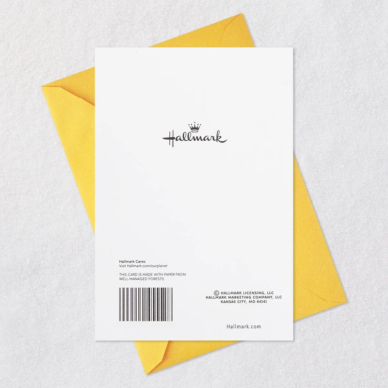 It's Your Special Day Birthday Card for only USD 2.50 | Hallmark