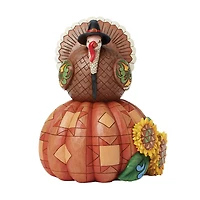 Jim Shore Turkey Pilgrim on Pumpkin Thanksgiving Figurine, 9.65" H for only USD 89.99 | Hallmark