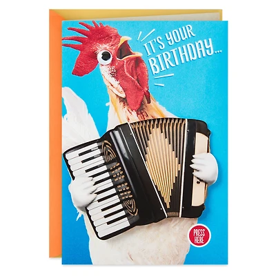 Celebrate Accordion-ly Chicken Dance Funny Musical Birthday Card With Motion for only USD 9.99 | Hallmark