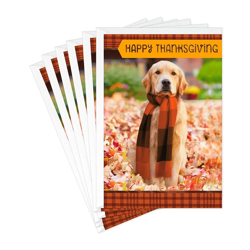 Warm Thoughts of You Thanksgiving Cards, Pack of 6 for only USD 6.99 | Hallmark